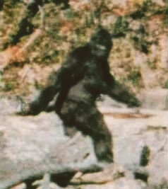 Frame 352 of the Patterson-Gimlin film, alleged to depict a female Bigfoot